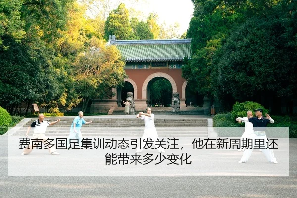 费南多国足集训动态引发关注，他在新周期里还能带来多少变化